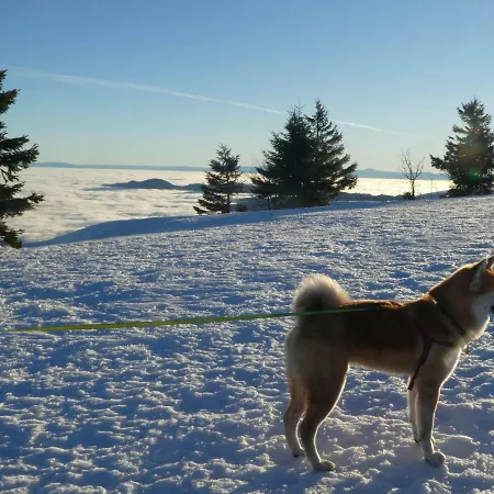 Appartement La Resilience - *